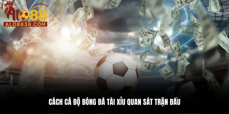 Cách cá độ bóng đá Tài Xỉu quan sát trận đấu