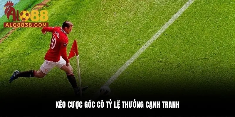 Kèo cược góc có tỷ lệ thưởng cạnh tranh