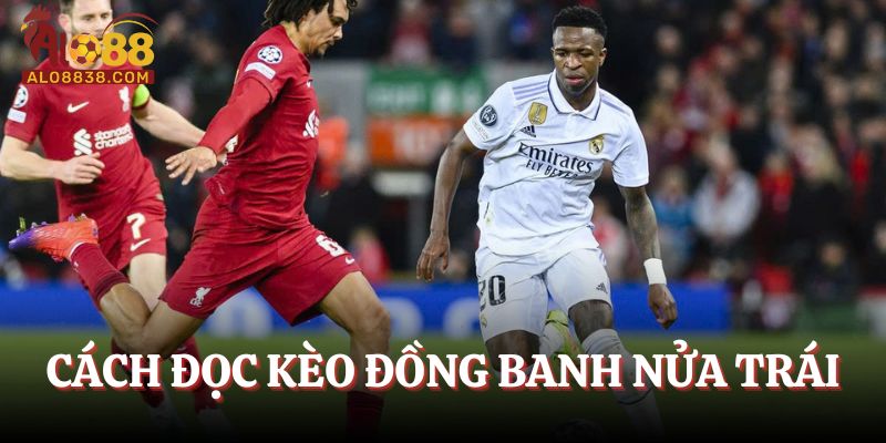 cách đọc cược đồng banh nửa trái